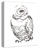 "Owl Sketch" Canvas Wall Art, 16"x20"
