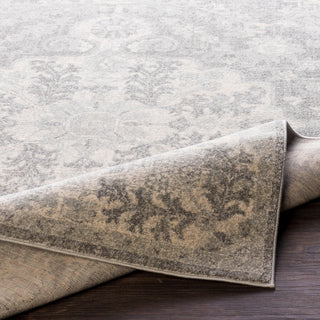 Harput Updated Traditional Light Gray, Charcoal Area Rug, 2'x3'