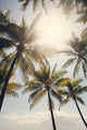 "Standing in the Sun" Fine Art Canvas Print, 48"x72"