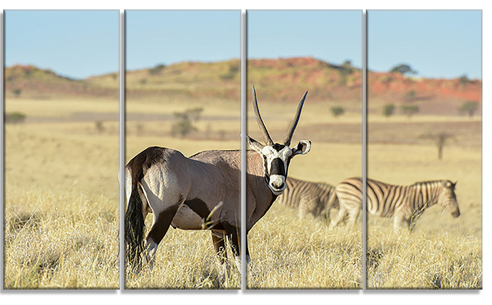 Wildlife in Namibia Grassland, African Canvas Art Print, 48"x28", 4 Panels