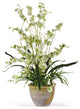 Dancing Lady Silk Orchid Arrangement, Green