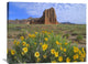 "Temple Of The Sun With Sunflowers, Capitol Reef National Park, Utah" Artwork