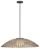 Hinkley Arlen Large Hanging Pendant, Black