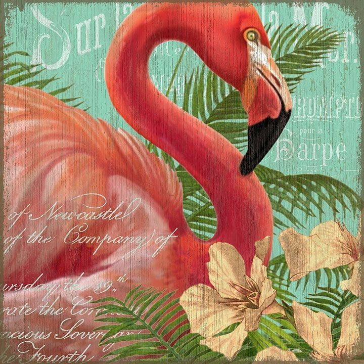 Fun Tropical Flamingo Wall Decor