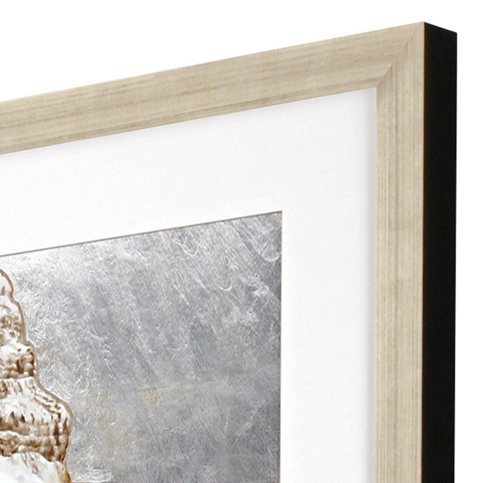 Modern Shell II Framed Art