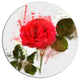 Red Rose With Green Petals, Modern Floral Round Wall Art, 11"