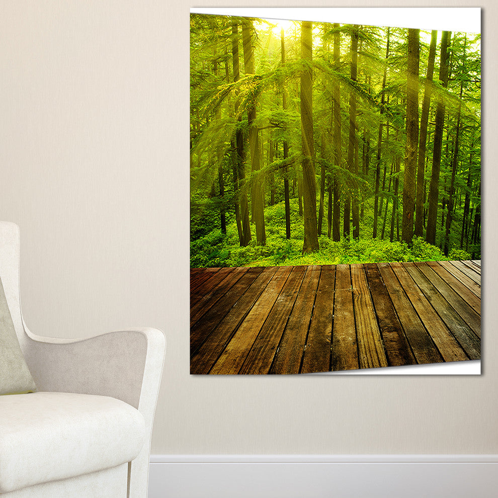 "Golden Sunlight in Pine Forest" Landscape Canvas Photo Print, 1 Panel, 28"x60"