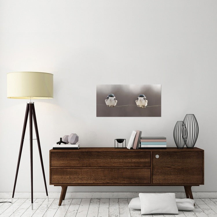 "Birds On A Wire" Stretched Canvas Giclee by Lucie Gagnon, 36x18"