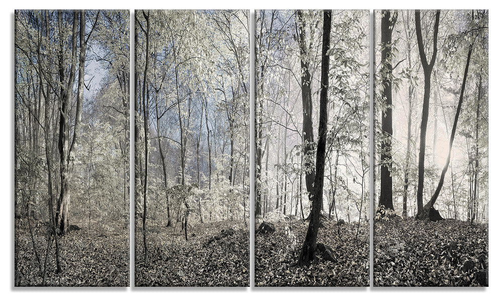 Dark Morning in Forest Panorama, Landscape Canvas Art Print, 48"x28", 4 Panels