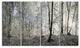 Dark Morning in Forest Panorama, Landscape Canvas Art Print, 48"x28", 4 Panels