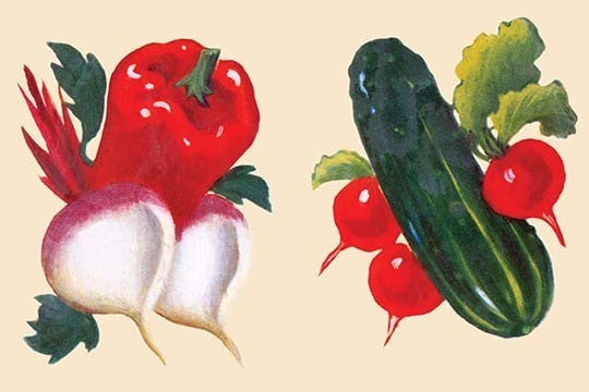 Vegetables - Framed Paper Poster 20" x 30"