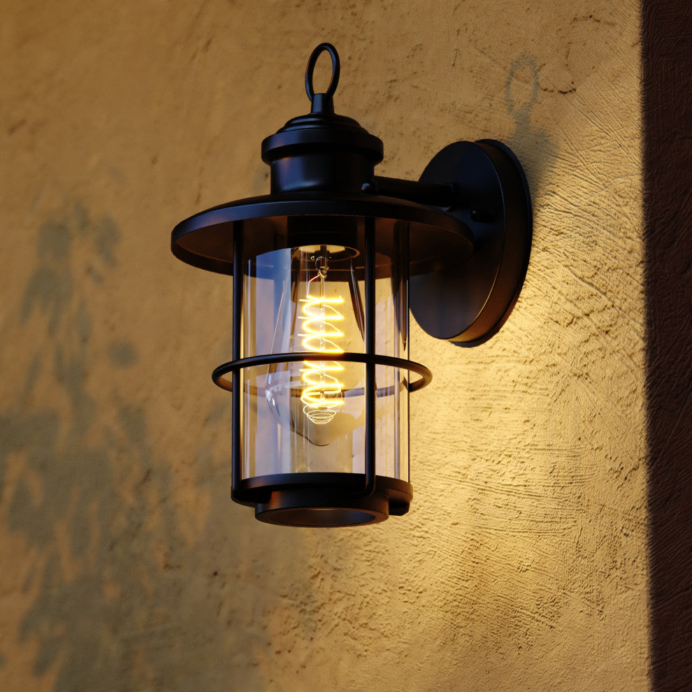 Lake Shore Steel 1 Light Black Coastal Outdoor Wall Lantern Clear Glass