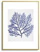 Gal Design Seaweed 9 Metal Framed Art Print