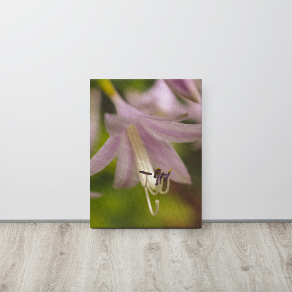 Close-up Hosta Bloom Floral Nature Photo Canvas Wall Art Print, 18" X 24"