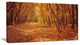Yellow Forest and Fallen Leaves, Modern Forest Canvas Art, 32"x16"