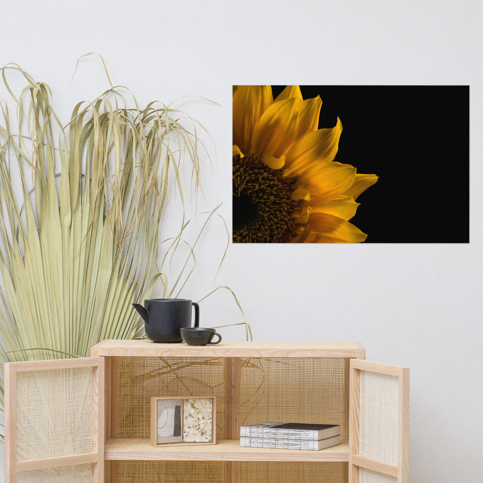Sunflower in Corner Nature Photography, Floral Unframed Wall Art Print, 24" X 36"