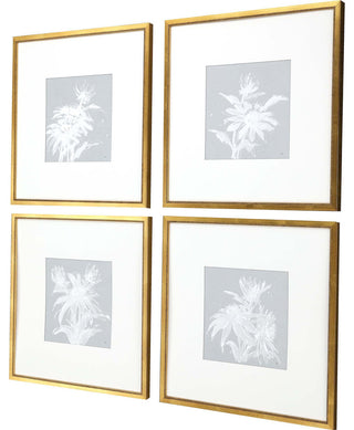 Echinacea Artwork 4-Piece Set