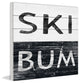 "Ski Bum" Painting Print on White Wood, 32"x32"