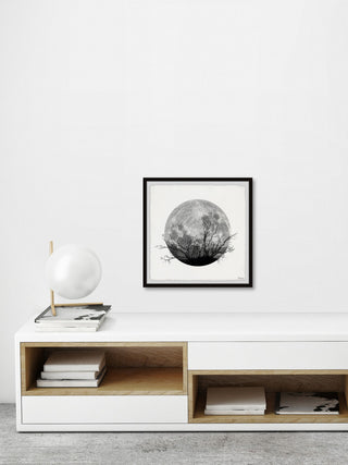 "Forest Moon" Framed Painting Print, 32"x32"