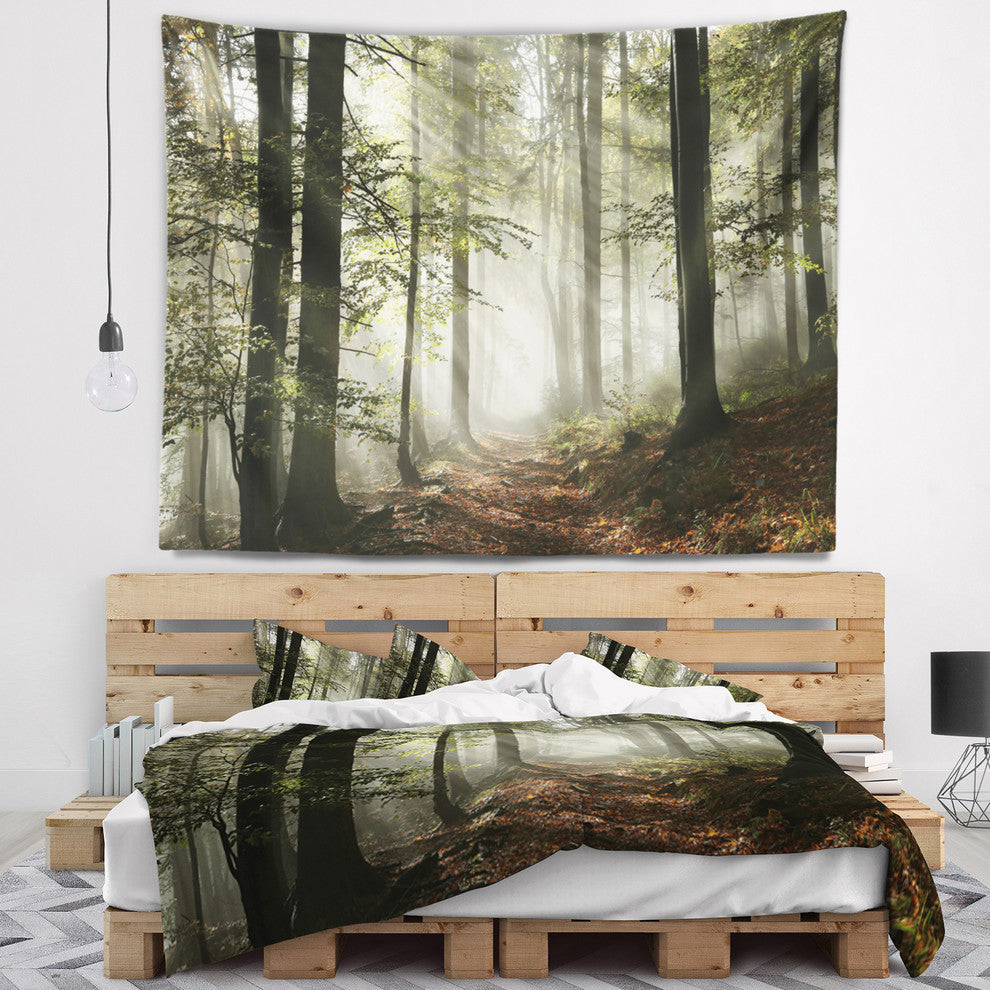 Light in Dense Fall Forest with Fog Landscape Wall Tapestry, 39"x32"