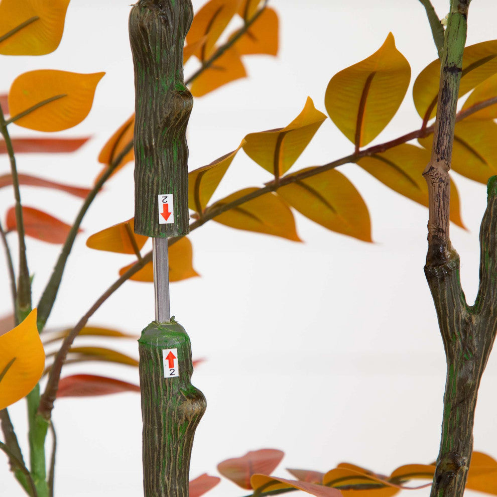 Instructional close-up showing trunk with measurement/scale.