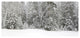 Foggy Winter Forest Panorama, Large landscape Canvas Art Print, 60"x28"