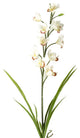 31" Cymbidium Orchid, Set of 3, Cream