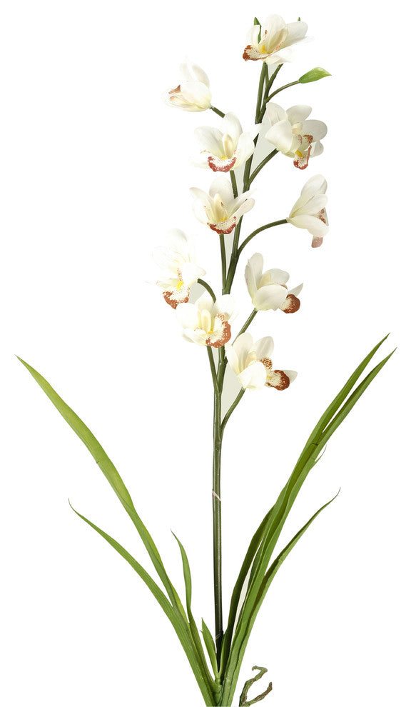 31" Cymbidium Orchid, Set of 3, Cream