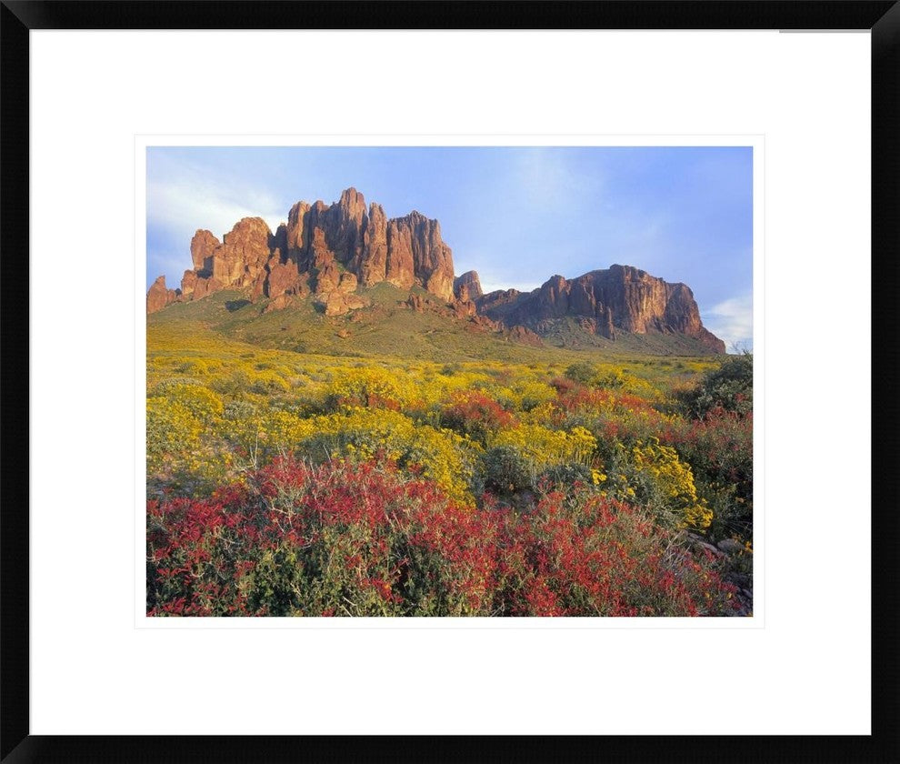 Chuparosa and Brittlebush Superstition Mountains, Arizona, 22"x18"