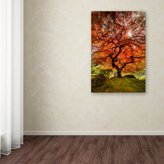 Moises Levy 'The Tree Vertical' Canvas Art, 32 x 22