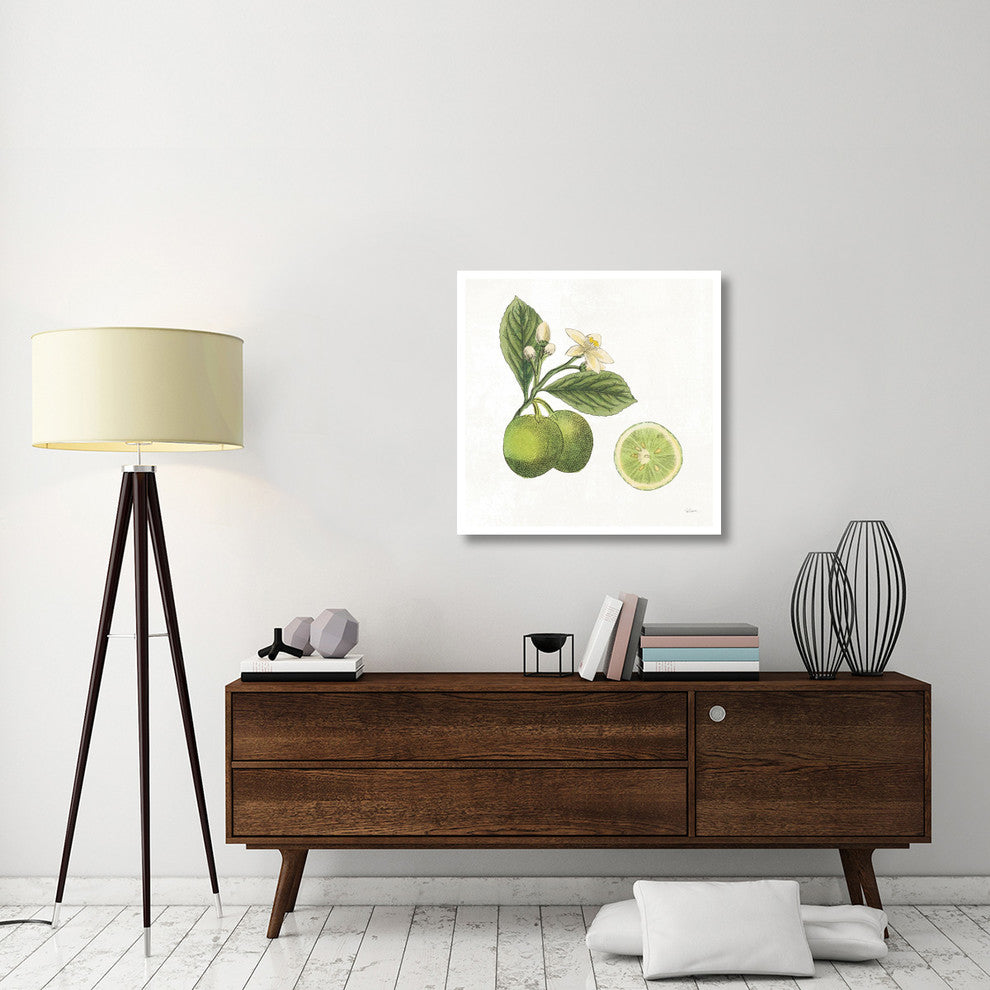 "Classic Citrus III" Digital Paper Print by Sue Schlabach, 32"x32"