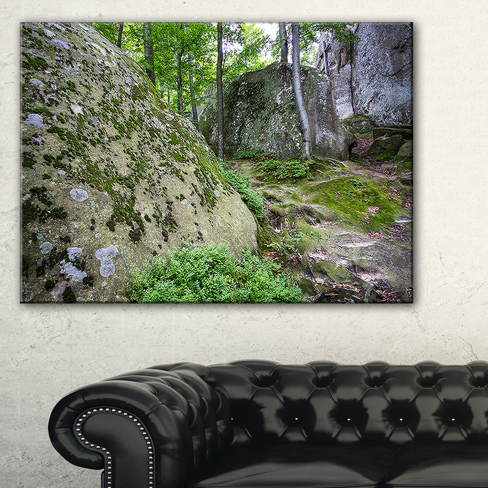 "Rocky Deep Moss Forest Ukraine" Landscape Art Print Canvas, 32"x16"