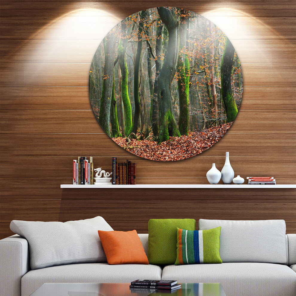Autumn Forest In The Netherlands, Landscape Disc Metal Wall Art, 23"