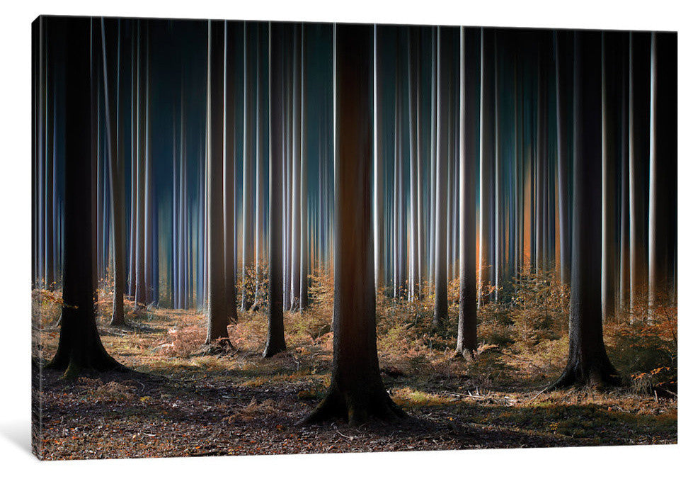 "Mystic Wood" by Carsten Meyerdierks, 18x12x1.5