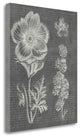 "Eden Spring I Gray" By Wild Apple Portfolio, Giclee on Gallery Wrap Canvas