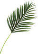 Hawaiian Palm Leaf, Set of 3, Medium