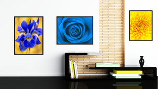 Blue Rose Flower Print on Canvas with Picture Frame, 28"x37"