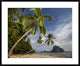 Palm Trees, Pinagbuyutan Island, Palawan, Philippines, 38"x30"