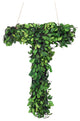Modern Home 12" Real Preserved Boxwood Monogram Wreath Letters - T