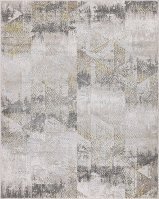 High-Low Wyatt Beige/Gold Rug, 8'8"x12'