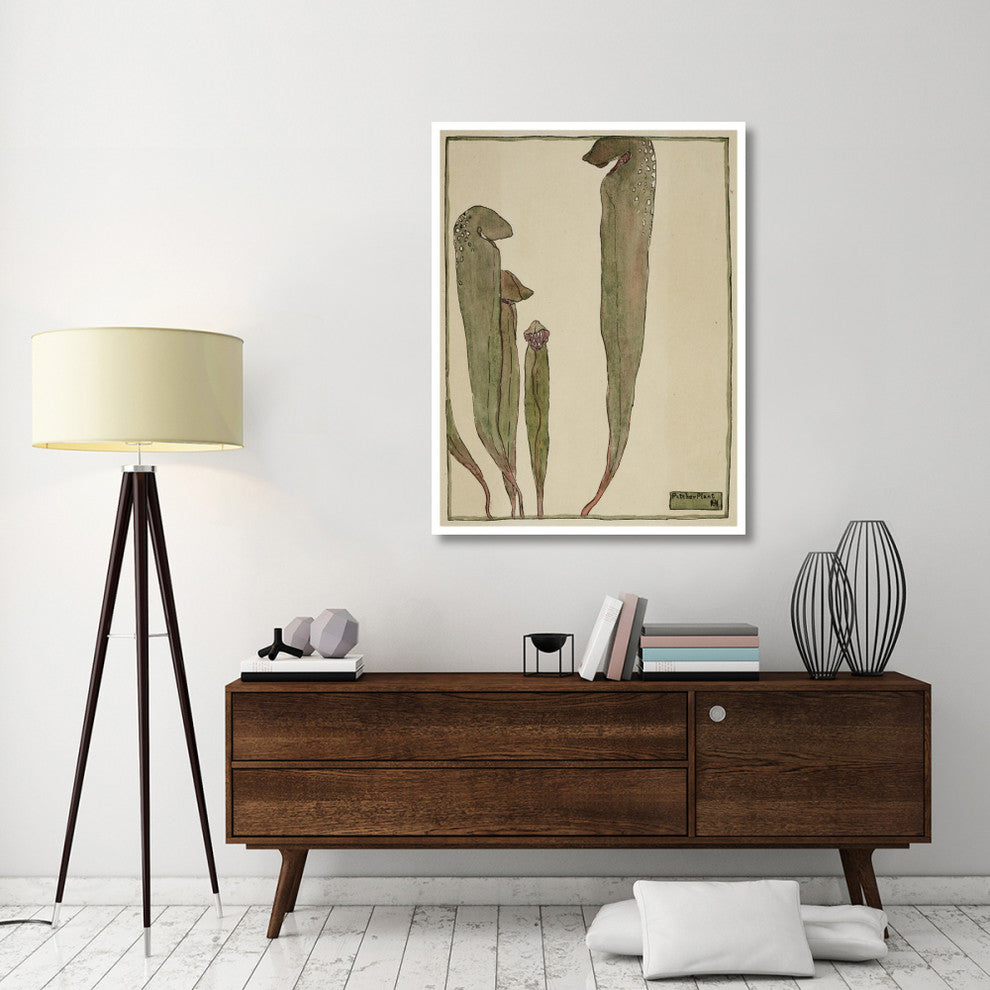 "Pitcher Plant" Digital Paper Print by Hannah Borger Overbeck, 38"x50"