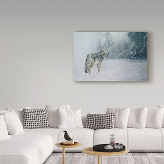 Ron Parker 'Coyote In Snow' Canvas Art, 32"x22"
