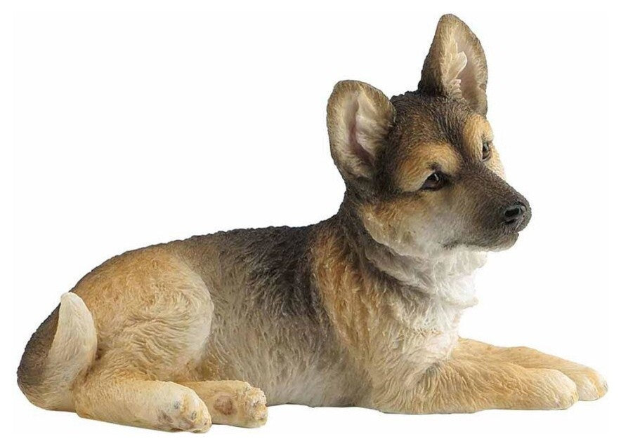 German Shepard Pup Lying With Head Tilted To the Right