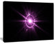 Purple Flash of Bright Star, Large Floral Canvas Art Print, 60x40