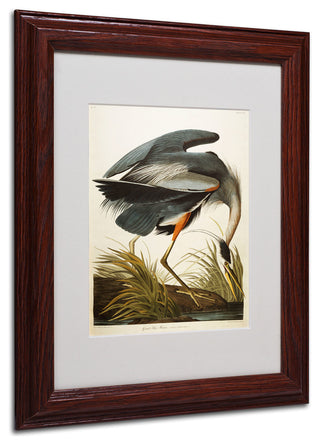 'Great Blue Heron' Matted Framed Canvas Art by John James Audubon