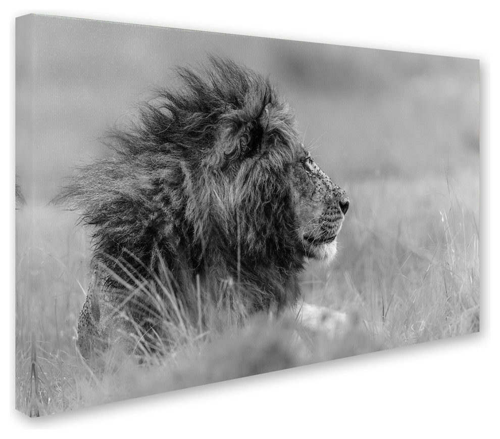 Massimo Mei 'The King Is Alone' Canvas Art, 22x32