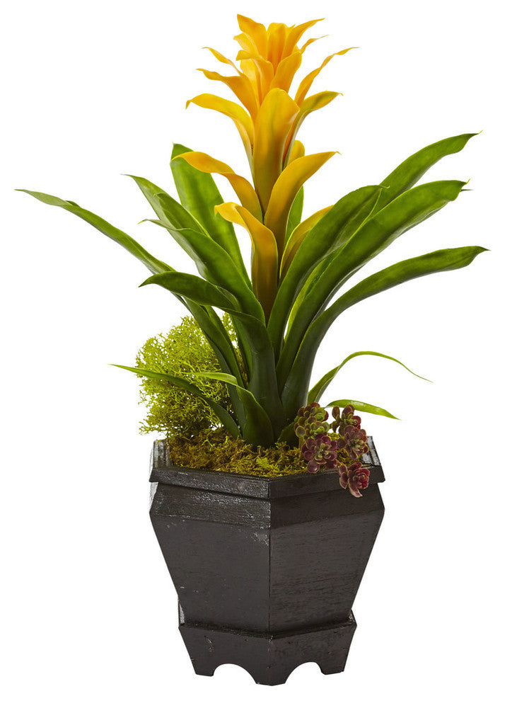 Bromeliad In Black Hexagon Planter, Yellow