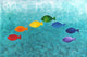 Marmont Hill, "Rainbow Fish" by Nicola Joyner Painting on Wrapped Canvas, 45x30