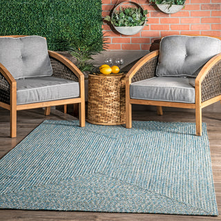 Nuloom Braided Lefebvre Indoor/Outdoor Area Rug, Aqua 3'x5'