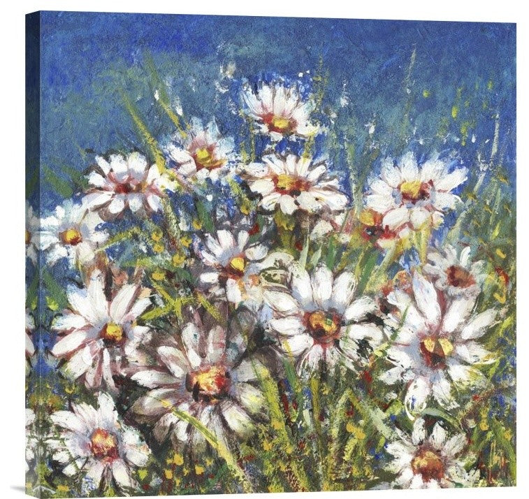"Campo di margherite" Stretched Canvas Giclee by Luigi Florio, 18"x18"